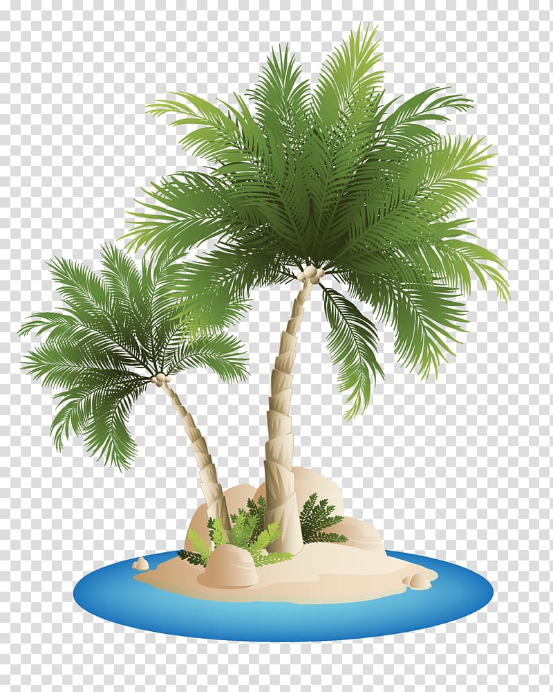 green palm tree , Palm Islands Beach , Sea island,coconut,Coco,tourism,Great transparent background PNG clipart