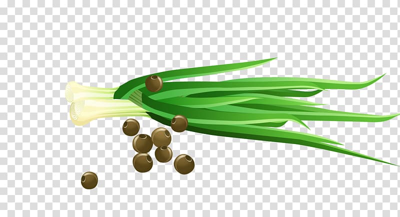 Vegetable Scallion Cartoon, vanilla green onions transparent background PNG clipart
