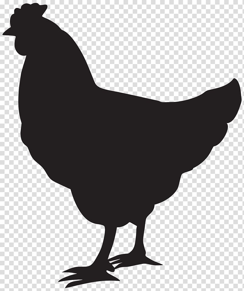 Ayam Cemani Silhouette , hen transparent background PNG clipart