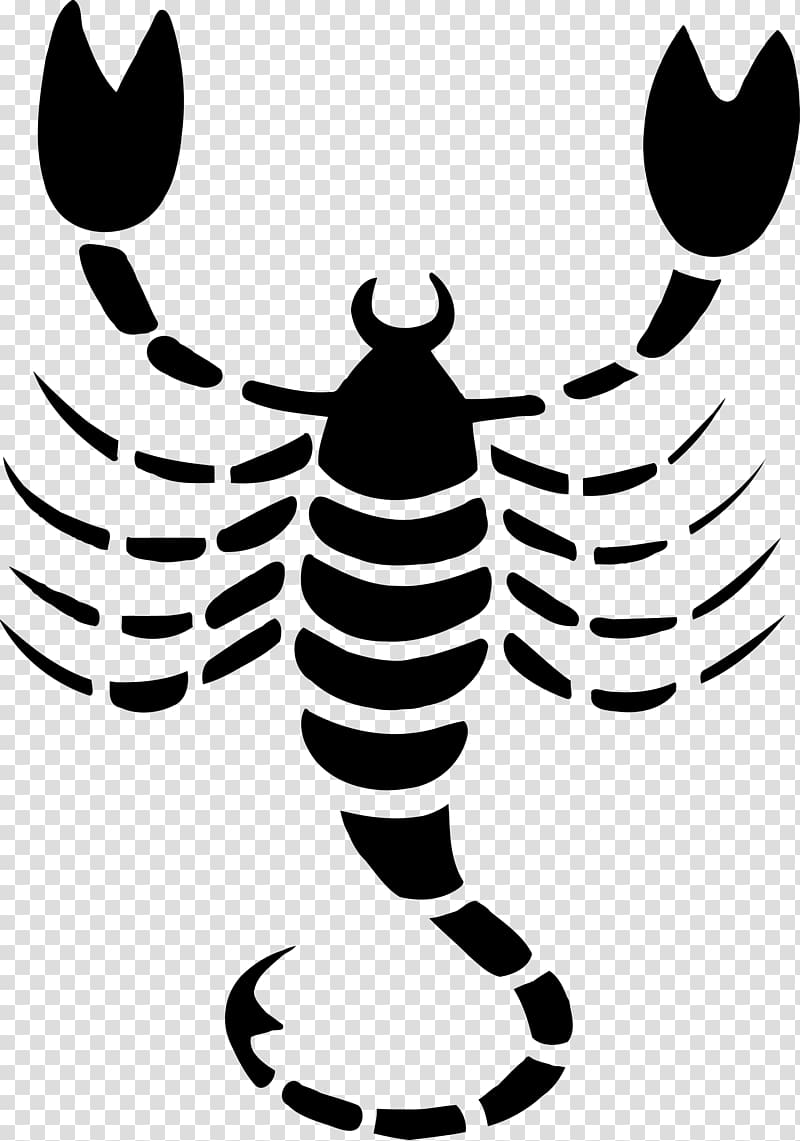 Scorpion Astrological sign Zodiac , scorpio astrology transparent background PNG clipart