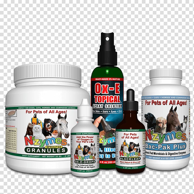Great Pyrenees Dietary supplement Australian Cattle Dog Health Pet, skin problem transparent background PNG clipart
