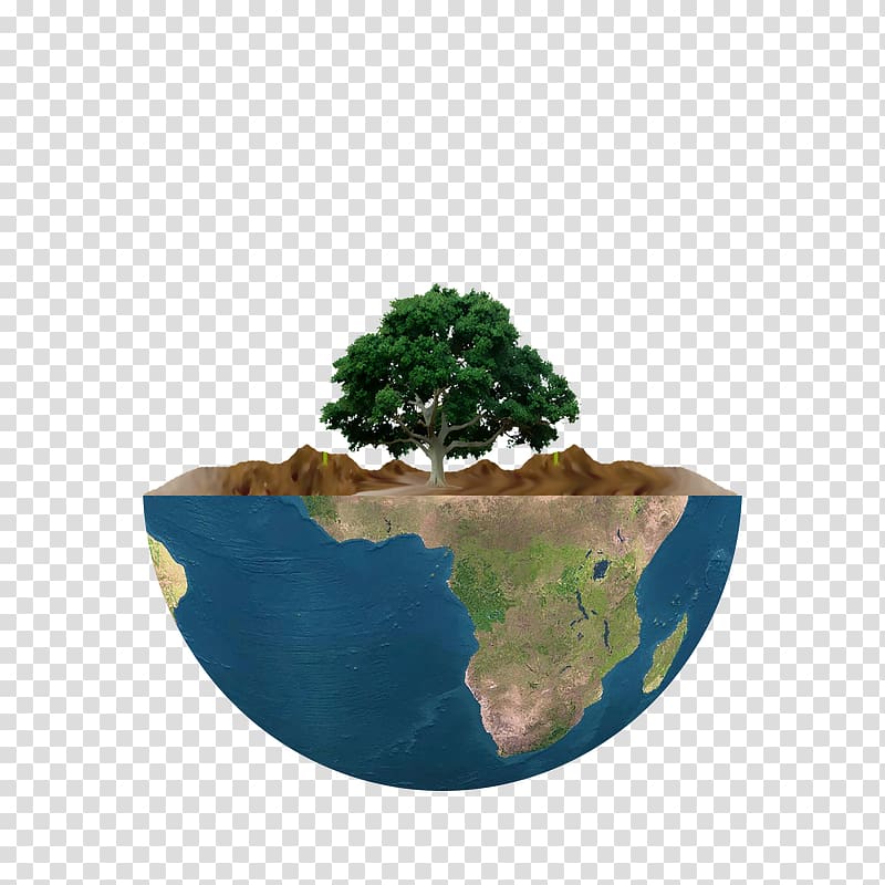 Flowerpot Tree Houseplant Power politics, tree transparent background PNG clipart