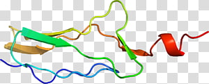Line Point Organ , line transparent background PNG clipart thumbnail