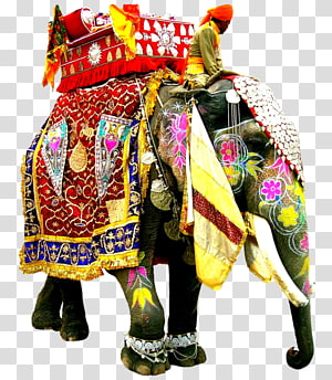 Indian Elephant png download - 2424*2510 - Free Transparent