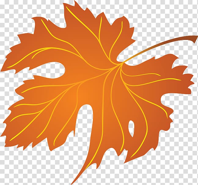 Maple leaf Autumn leaf color, Leaf transparent background PNG clipart