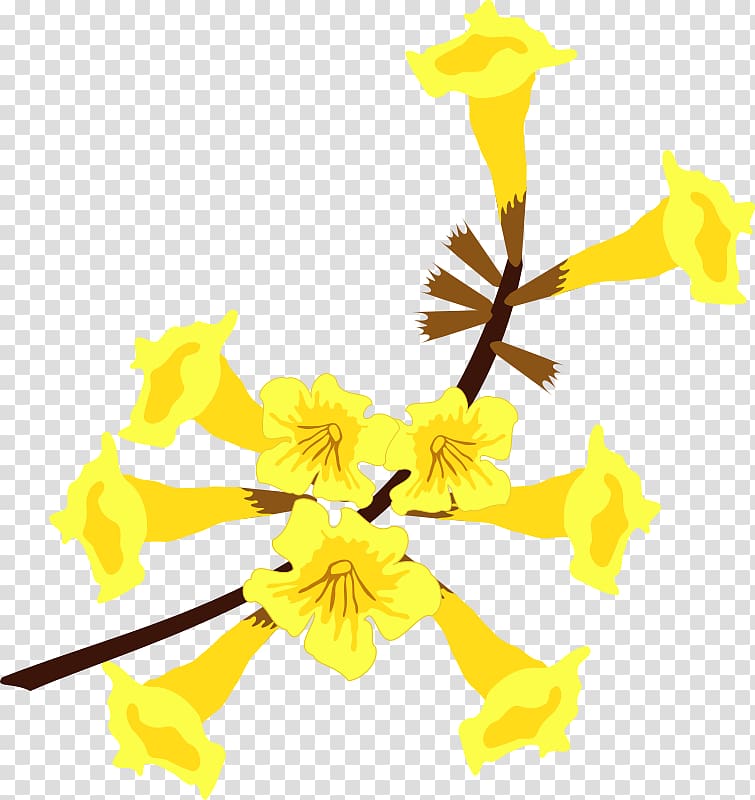 Flower Yellow Ipe Handroanthus albus, flor transparent background PNG clipart