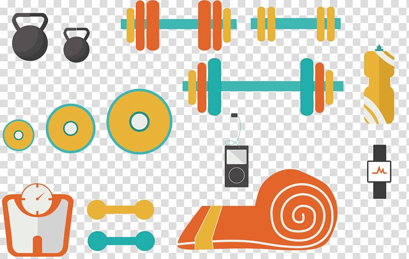 Exercise equipment Sports equipment Physical exercise, Sports Equipment transparent background PNG clipart