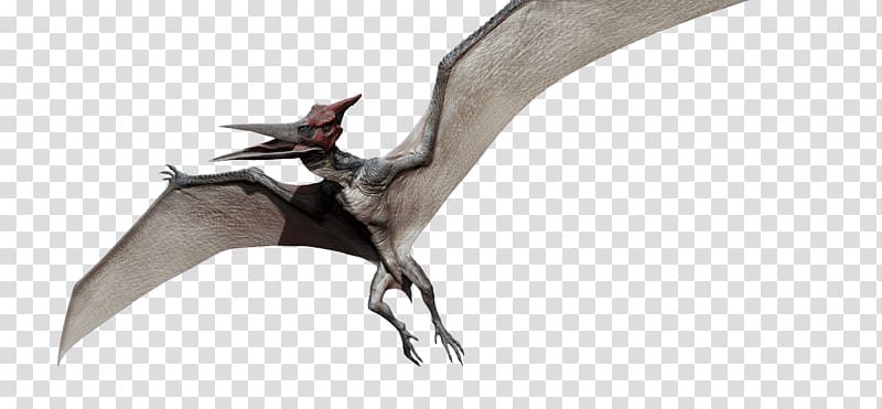Pteranodon Dimorphodon Pterodactyls Ankylosaurus Jurassic Park, dinosaur transparent background PNG clipart