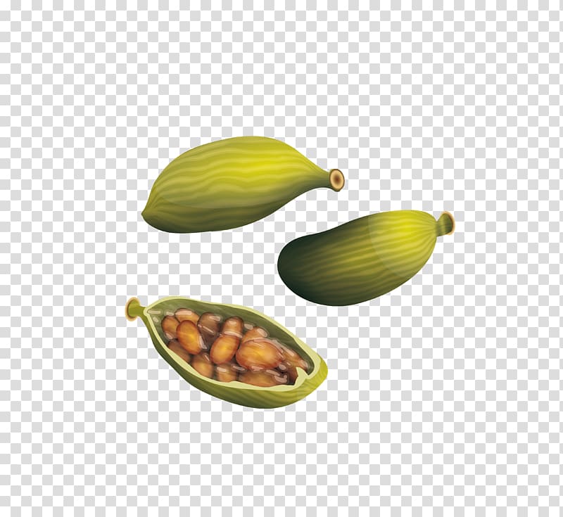fruit , True cardamom Spice, Spice cardamom material transparent background PNG clipart