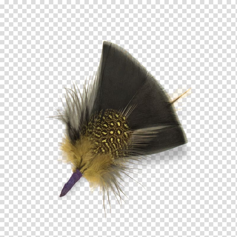 Feather Bird Hat Goorin Bros. Hackle, black feathers transparent background PNG clipart