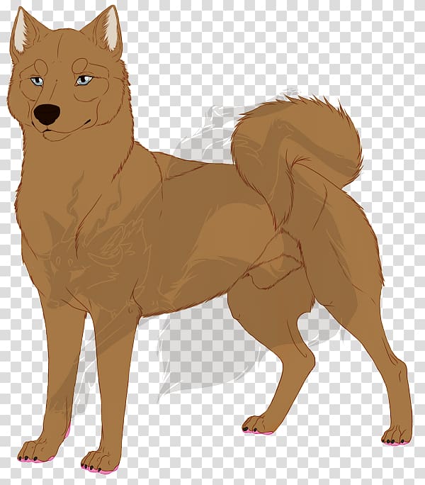 Dog breed Finnish Spitz Dhole Fur, others transparent background PNG clipart