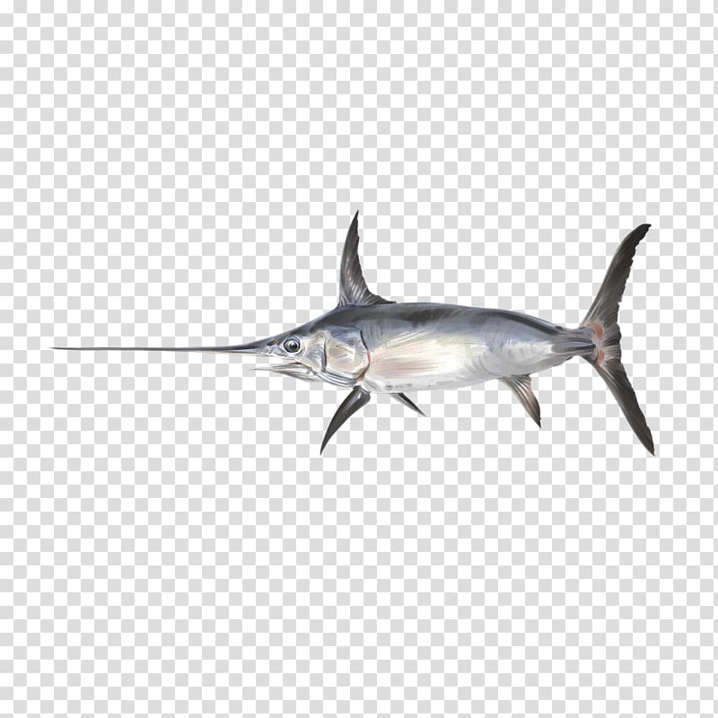 Swordfish Shark Sailfish, receita peixe espada transparent background PNG clipart
