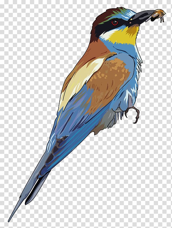Bee-eater Bird , Clipboard Art transparent background PNG clipart