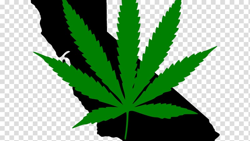 Cannabis in California Medical cannabis Legality of cannabis by U.S. jurisdiction Cannabis tea, cannabis transparent background PNG clipart