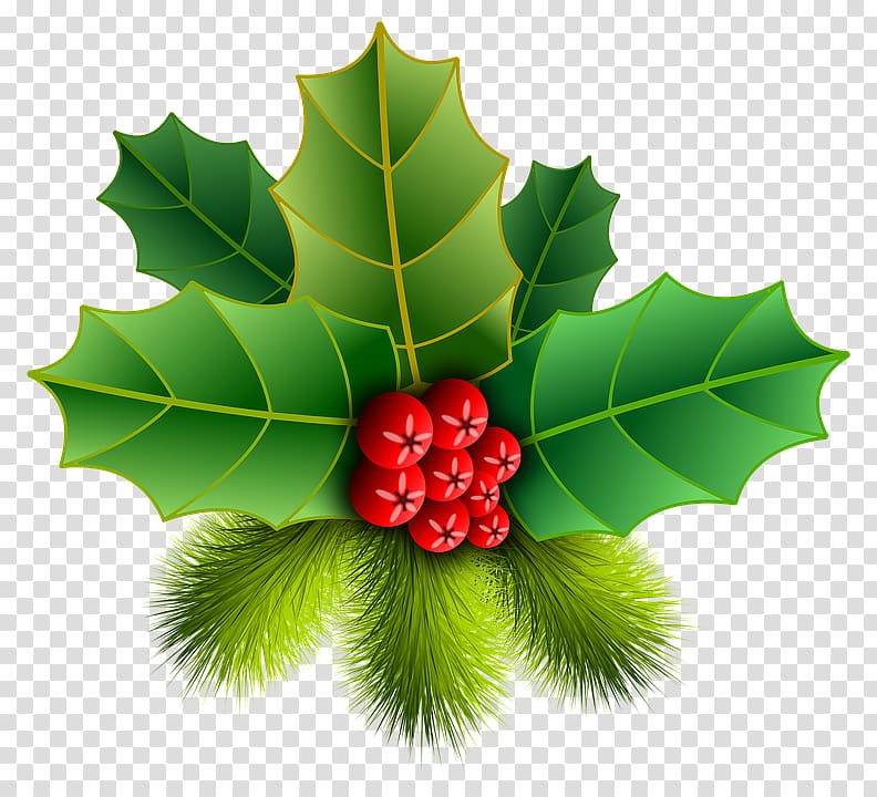 Christmas ornament Common holly , christmas transparent background PNG clipart