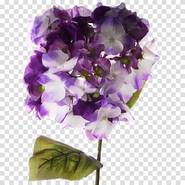 Hydrangea Cut flowers Petal, nenuphar transparent background PNG clipart