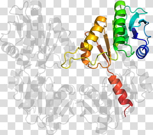 Organism , design transparent background PNG clipart thumbnail