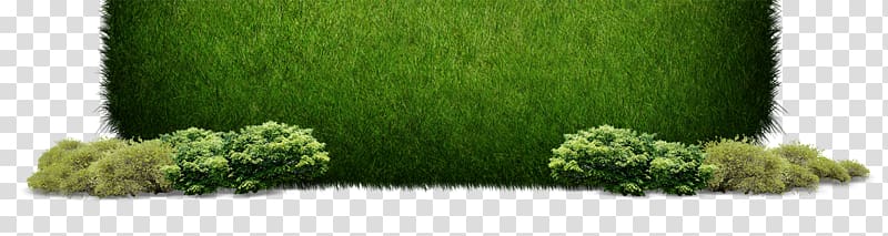 green kush , Grass Green, grass transparent background PNG clipart