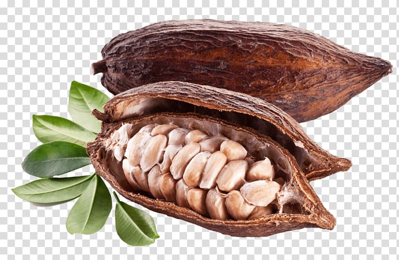 Cocoa bean Cacao tree Chocolate , chocolate transparent background PNG clipart