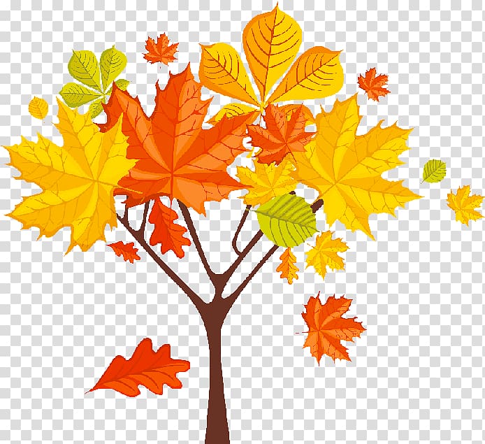 Autumn, arboles transparent background PNG clipart