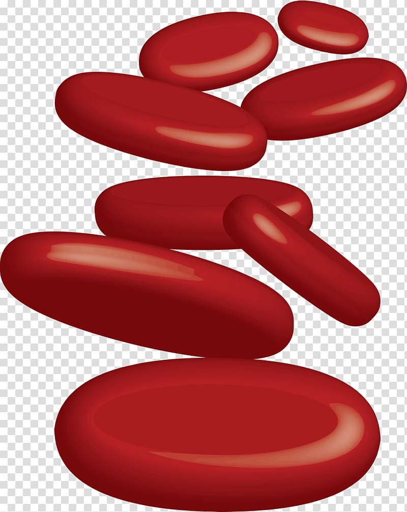 Red blood cell , blood red transparent background PNG clipart