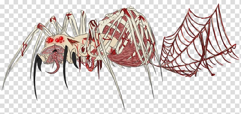 Drawing Spider Flesh Painting Art, painting transparent background PNG clipart