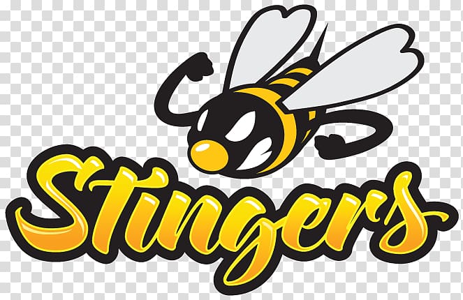 Honey bee Concordia Stingers Men\'s Basketball, School Football Tournament transparent background PNG clipart