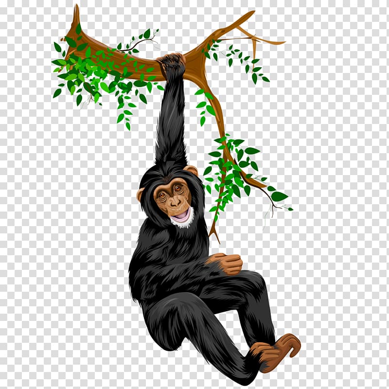 Orangutan Drawing Comics, Orangutan tree branch transparent background PNG clipart