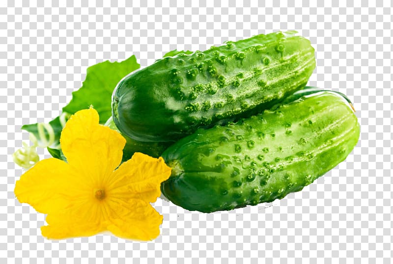 Cucumber Organic food Vegetable Fruit Seed, Fresh Cucumber transparent background PNG clipart