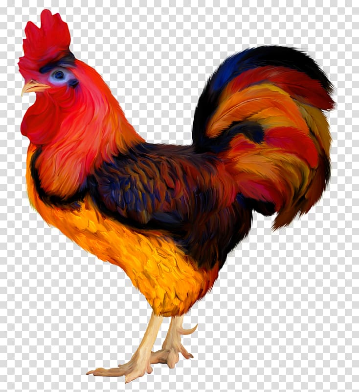 Rooster Chicken Hen, chicken transparent background PNG clipart