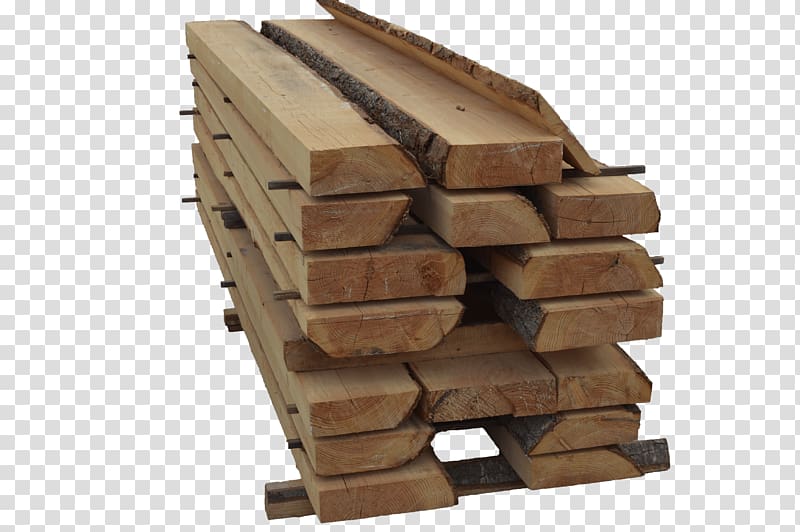 Lumber Wood Trunk Jordi Giribets, Fusta Bark, wood transparent background PNG clipart
