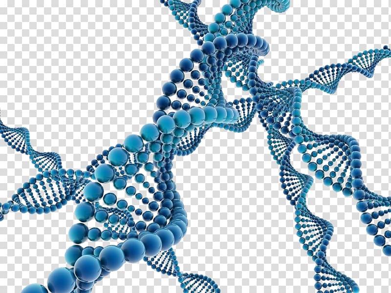 DNA Illustration, Gene free transparent background PNG clipart