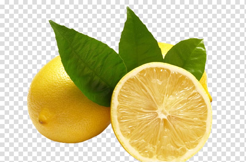 Lemonade Citric acid Citron Meyer lemon, Fresh lemon transparent background PNG clipart