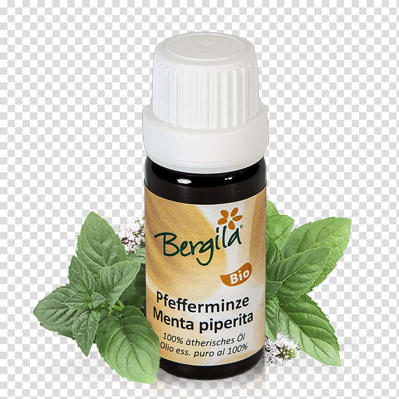 Herb Essential oil Peppermint Pine oil, oil transparent background PNG clipart