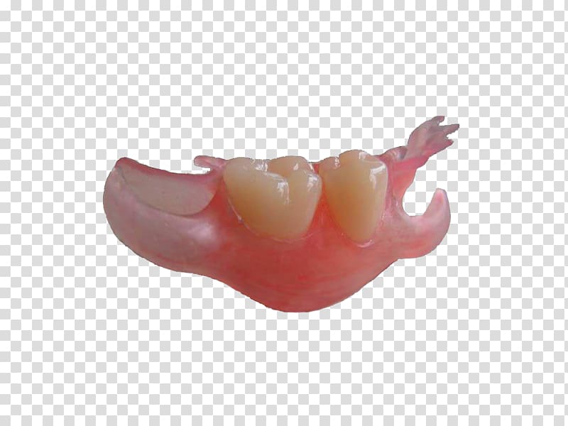 Oral hygiene Dentures Mouth Jaw Tooth, contacts transparent background PNG clipart