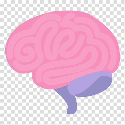 Blue Brain Project Organ Human brain, organs transparent background PNG clipart