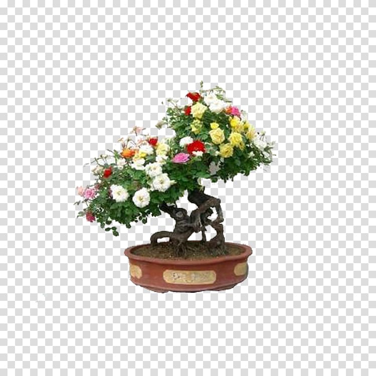 Chinese sweet plum Flowerpot Artificial flower Tree, tree transparent background PNG clipart