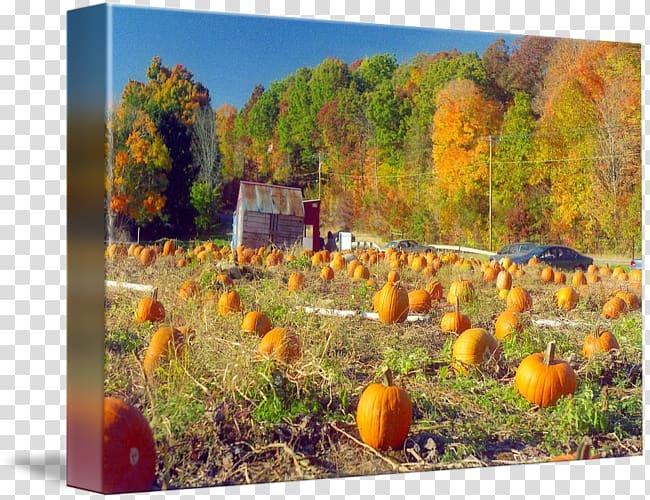 Autumn in New England Painting Ecosystem, others transparent background PNG clipart