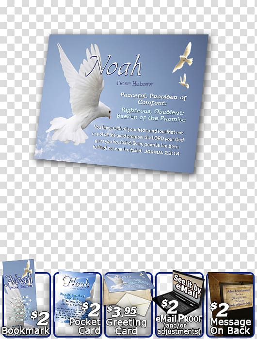 Bible Name Meaning Religious text Columbidae, Noah bible transparent background PNG clipart