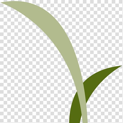 Leaf Logo Grasses Font, campus wind transparent background PNG clipart