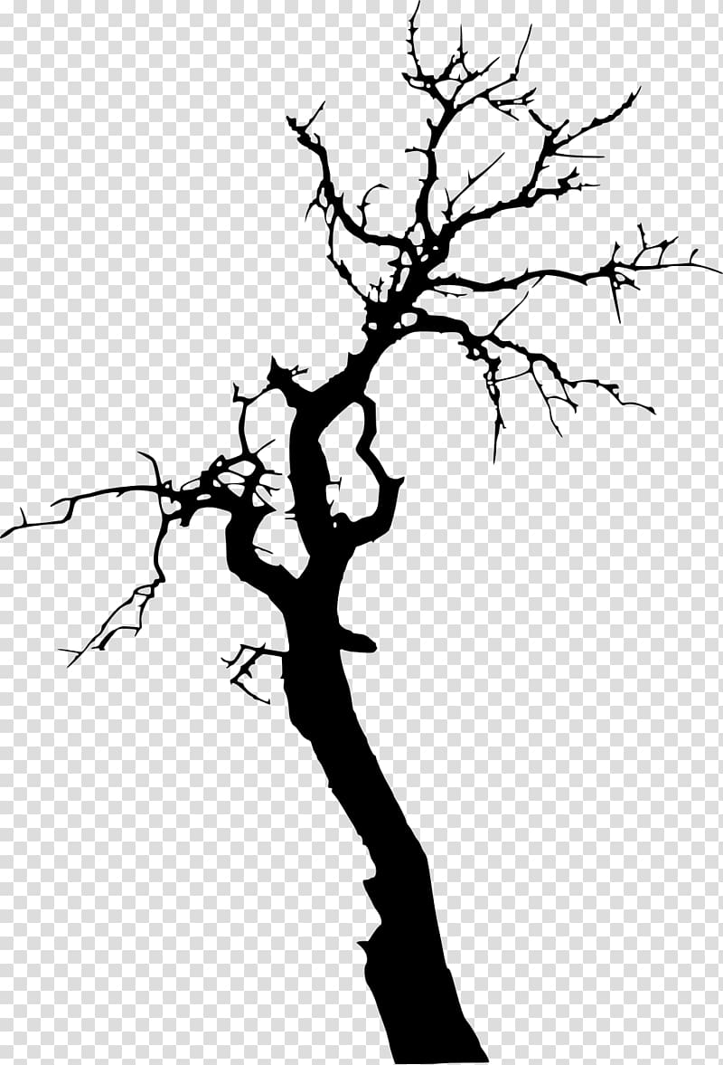Tree Death Branch , dead transparent background PNG clipart