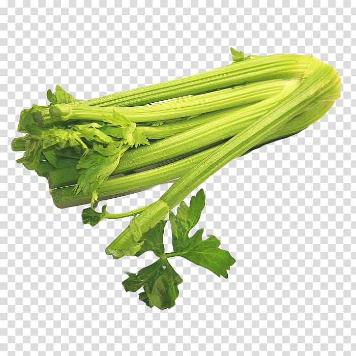 Celery Ossobuco Vegetable Food, others transparent background PNG clipart