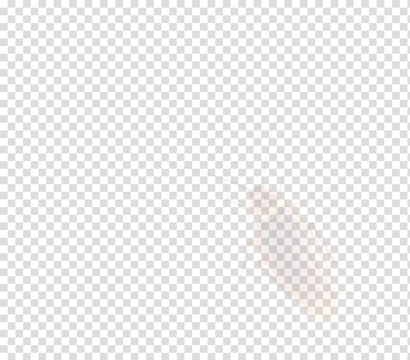 Cockroach, cockroach transparent background PNG clipart