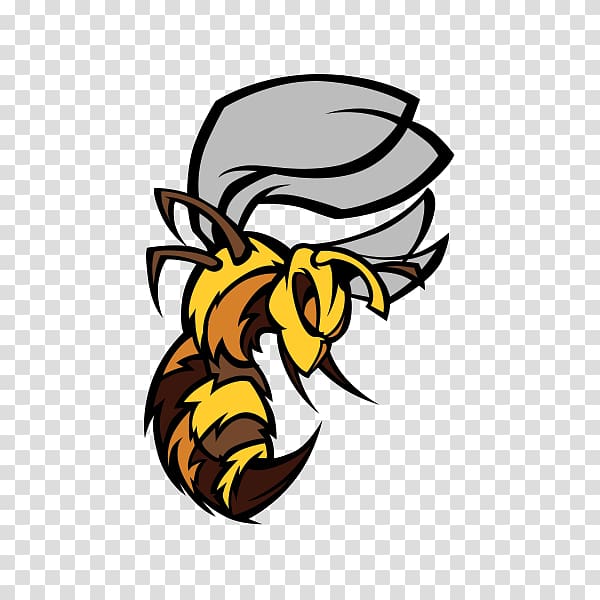 Honey bee Hornet Car Sticker, car transparent background PNG clipart