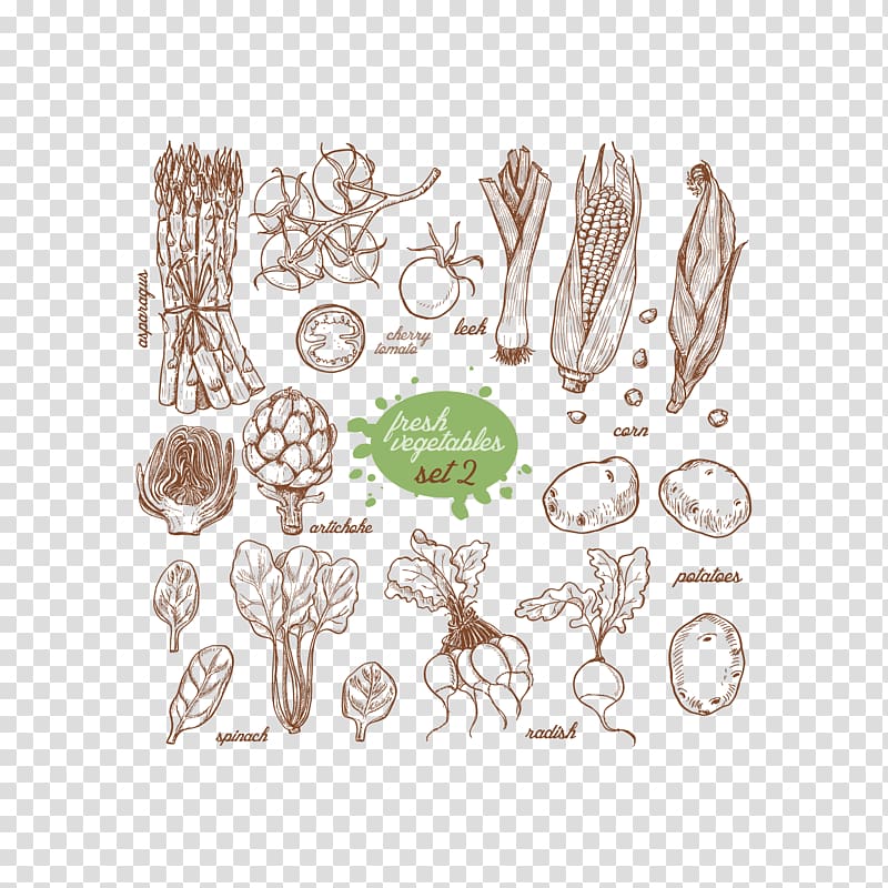 Vegetable Food Illustration, Vegetables avoid drawing transparent background PNG clipart