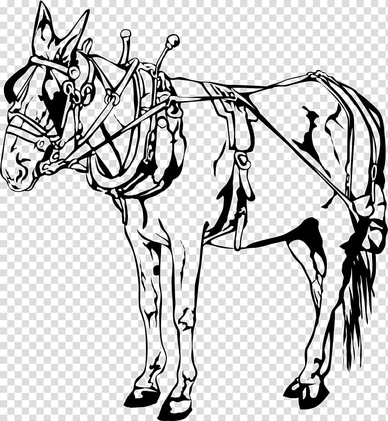 Horse Visual arts Pony , carriage horse transparent background PNG clipart