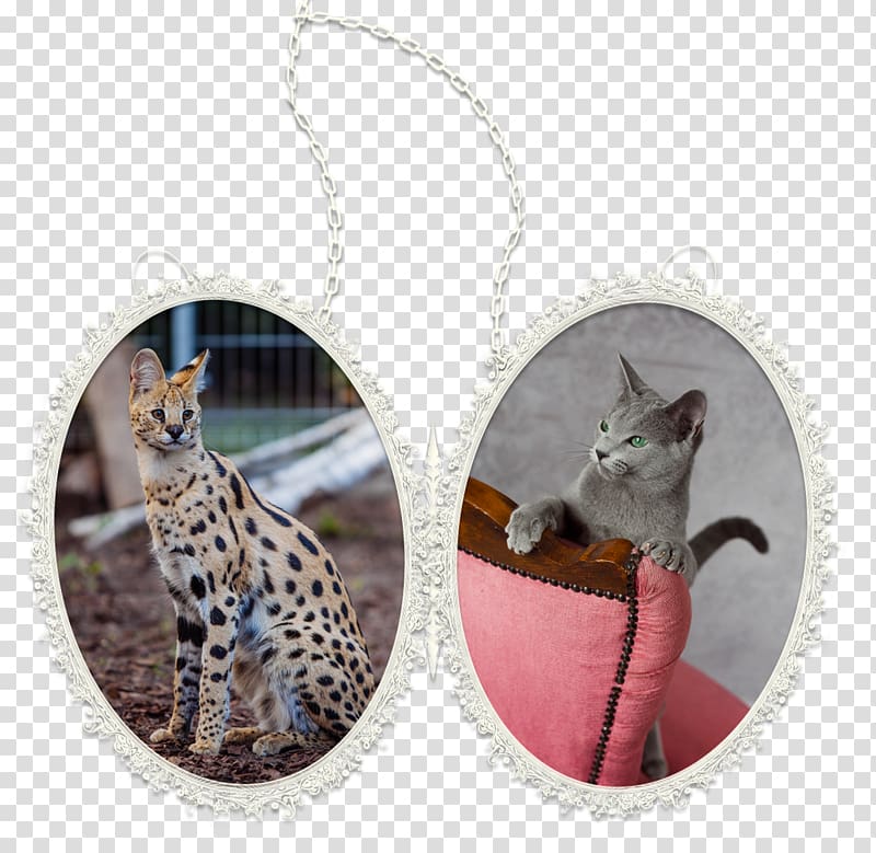 Russian Blue Serval Cat, KotyLeona Necklace Pendant, necklace transparent background PNG clipart