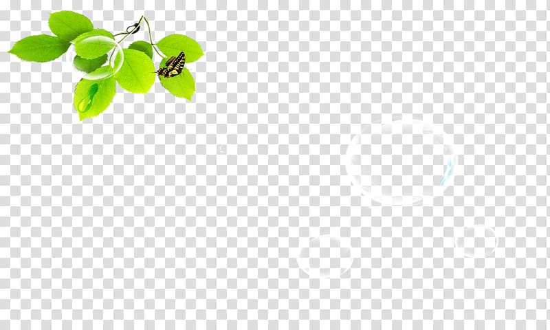Green Leaf Pattern, Leaves transparent background PNG clipart