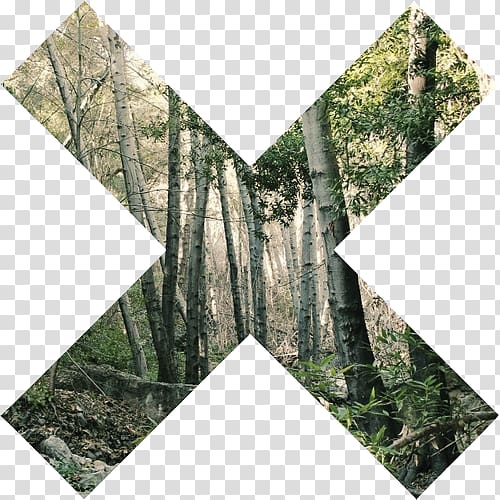 Aesthetics Art The xx, tropical forest transparent background PNG clipart