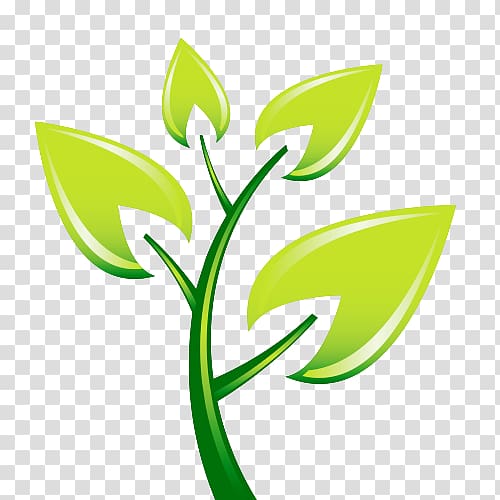 Plant Leaves Leaf , Cartoon tree transparent background PNG clipart